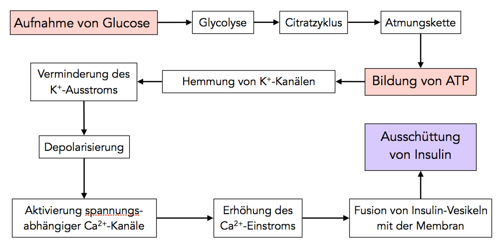 siehe folgenden Text