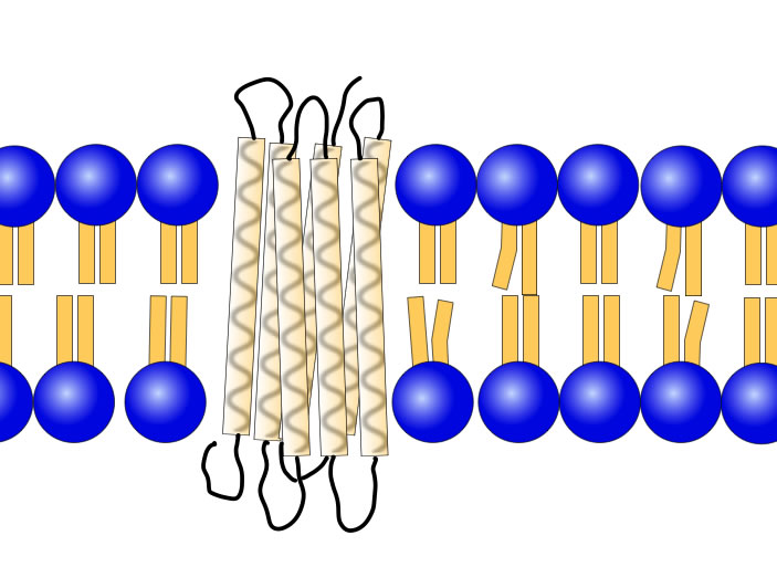 Beschreibung siehe folgenden Text