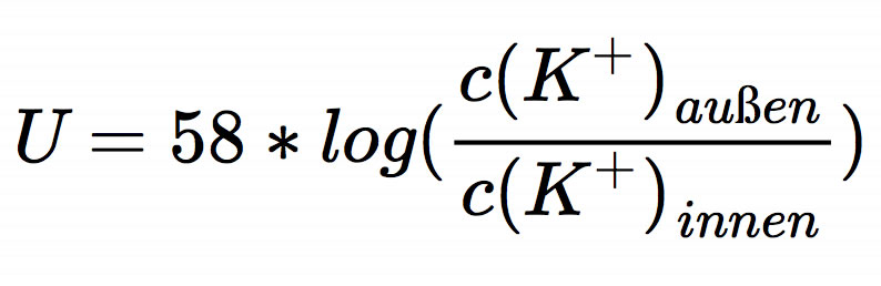 U = 58*log[c(K+ außen) / c(K+ innen)]