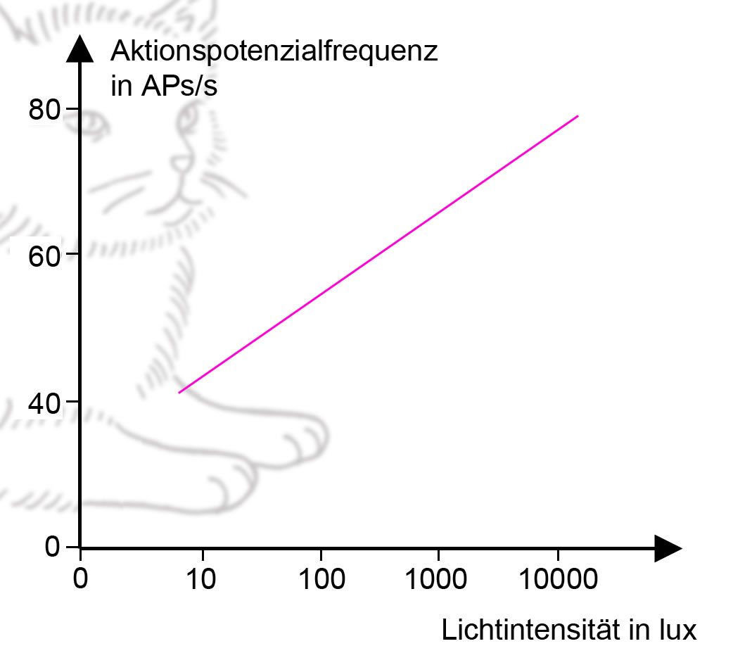 siehe folgenden Text