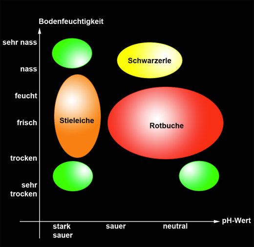 Was Ist Die ökologische Nische Ökologische Nische