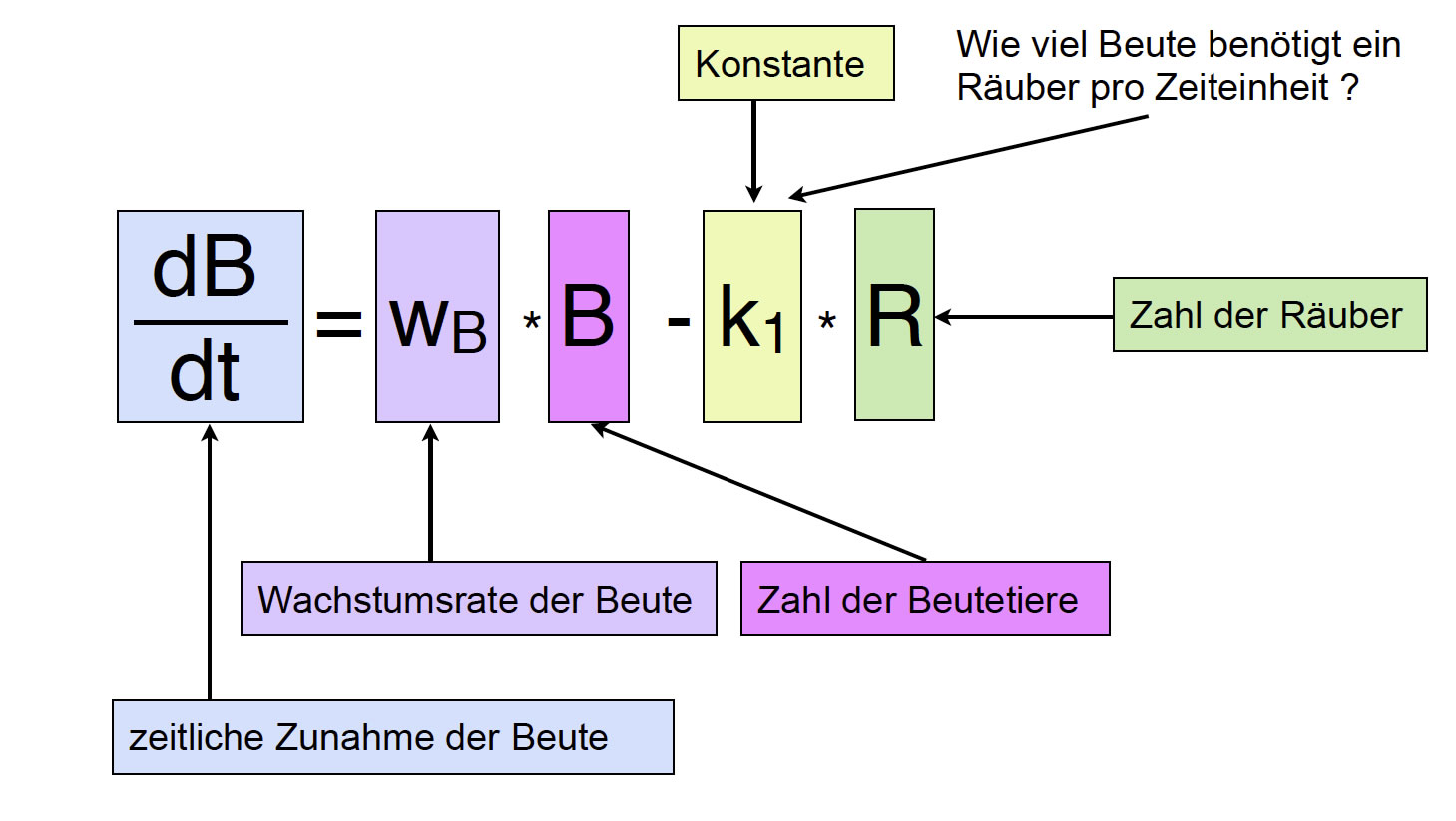 dB/dt = wB * B - k1 * R