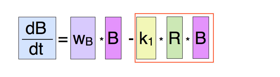 db/dt = wB * B - k1 * R * B