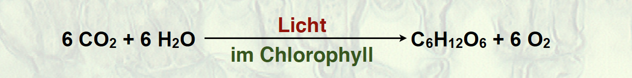 Grundgleichung der Photosynthese mit 12 H2O auf der Eduktseite