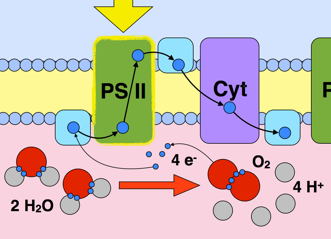 Beschreibung siehe Text