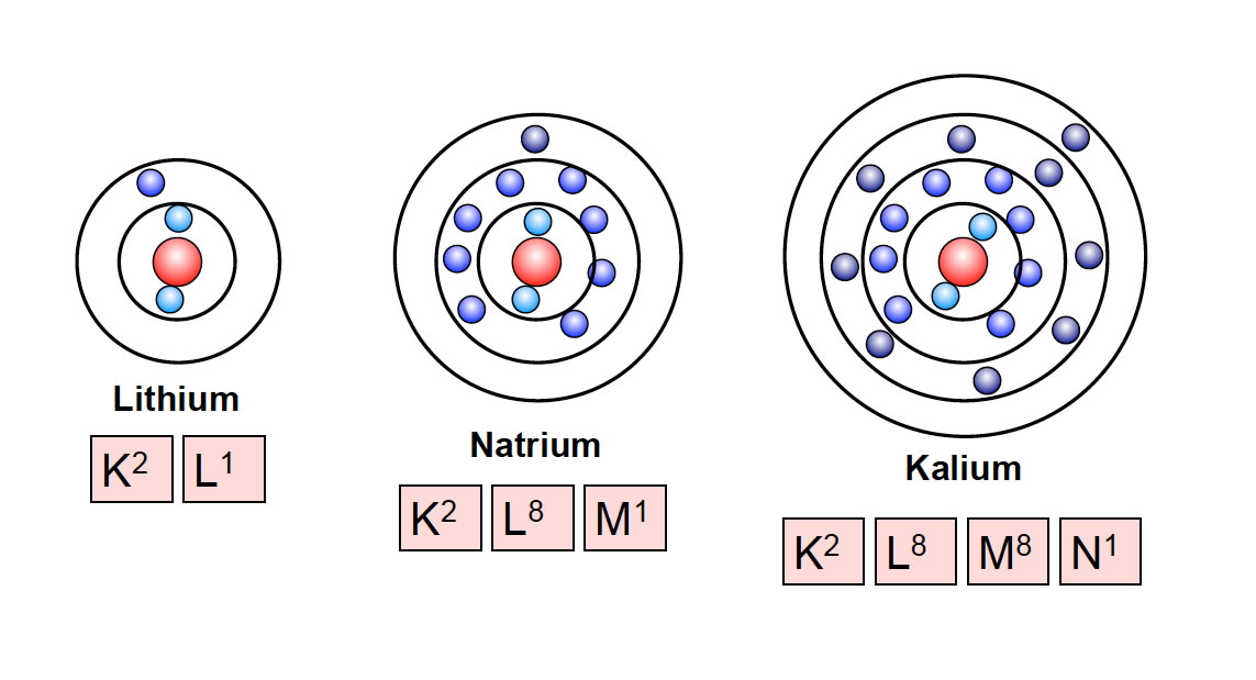 Die ersten drei Alkalimetalle nach dem Schalenmodell