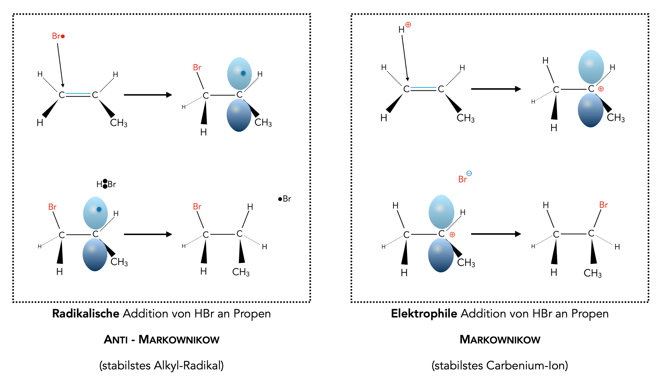 Mechanismus Der Elektrophilen Addition www.u-helmich.de