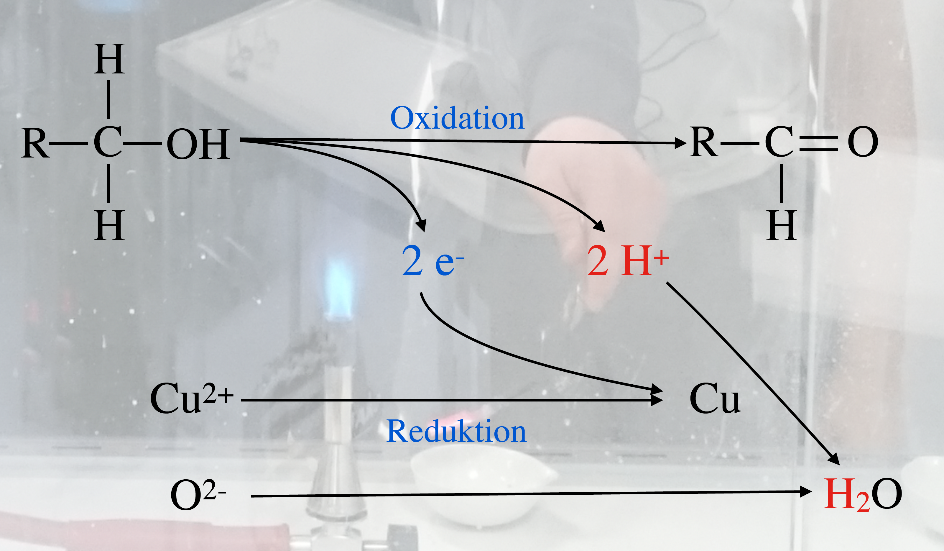Beschreibung siehe folgenden Text