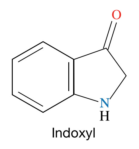 Das Indoxyl-Molekül