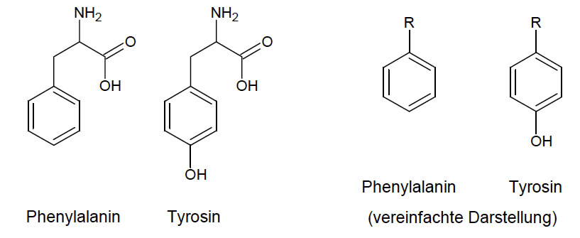Phenylalanin Und Tyrosin Zusammen Nehmen