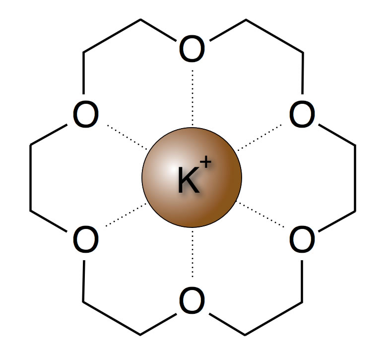 Ein Kronenether mit einem eingeschlossenem Kalium-Ion