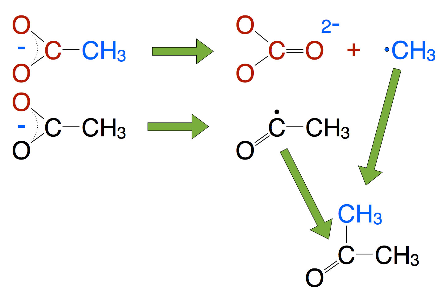 Reaktionsschema der Synthese von Aceton aus Acetat