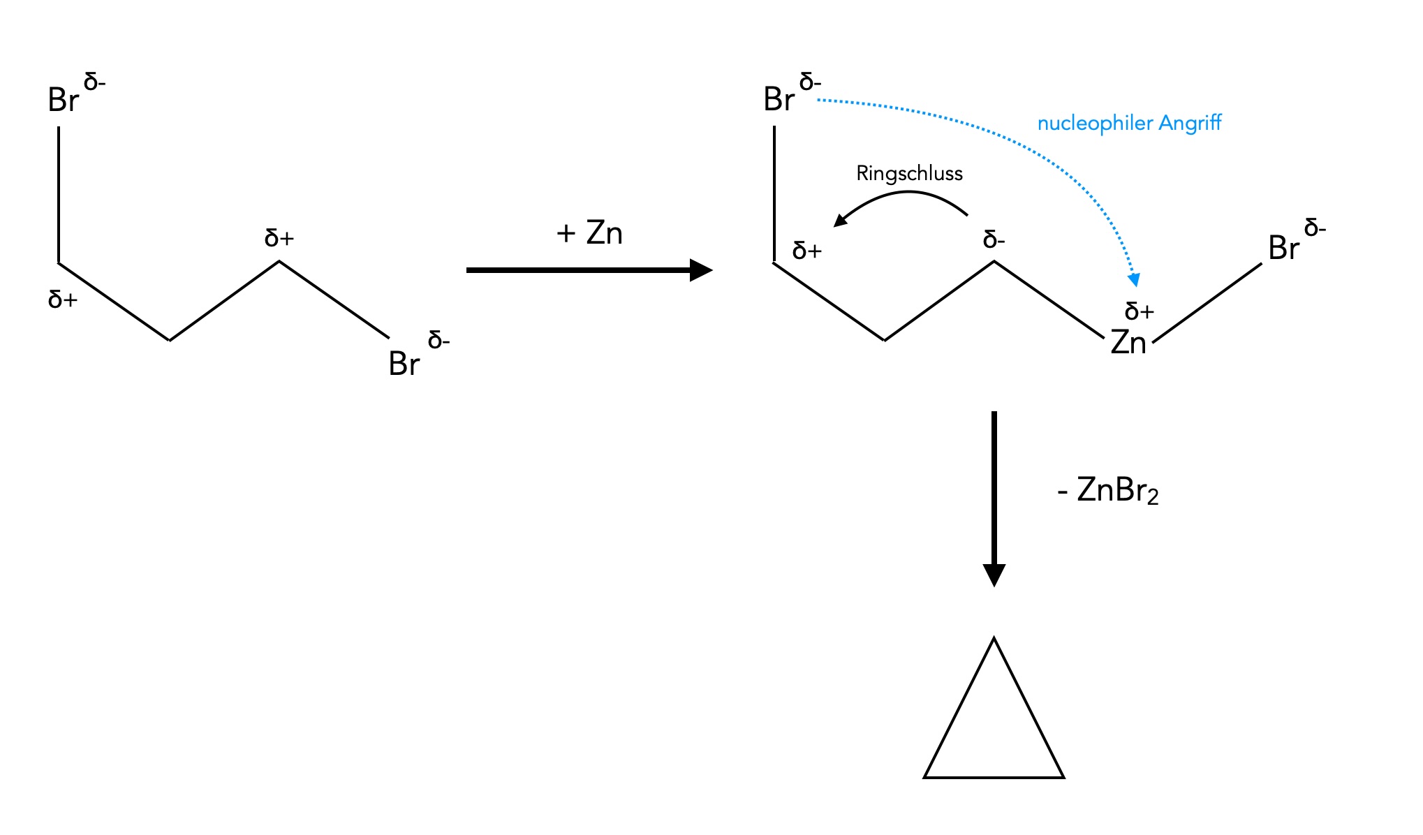 Das Schema wird im folgenden Text erklärt.