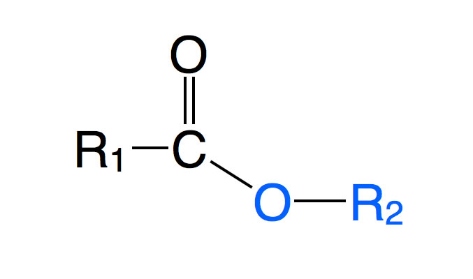 Struktur eines Esters: R1-CO-O-R2