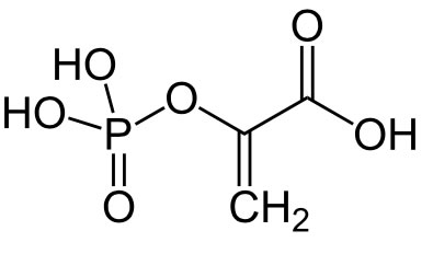 Strukturformel von Phosphoenolpyruvat (PEP)