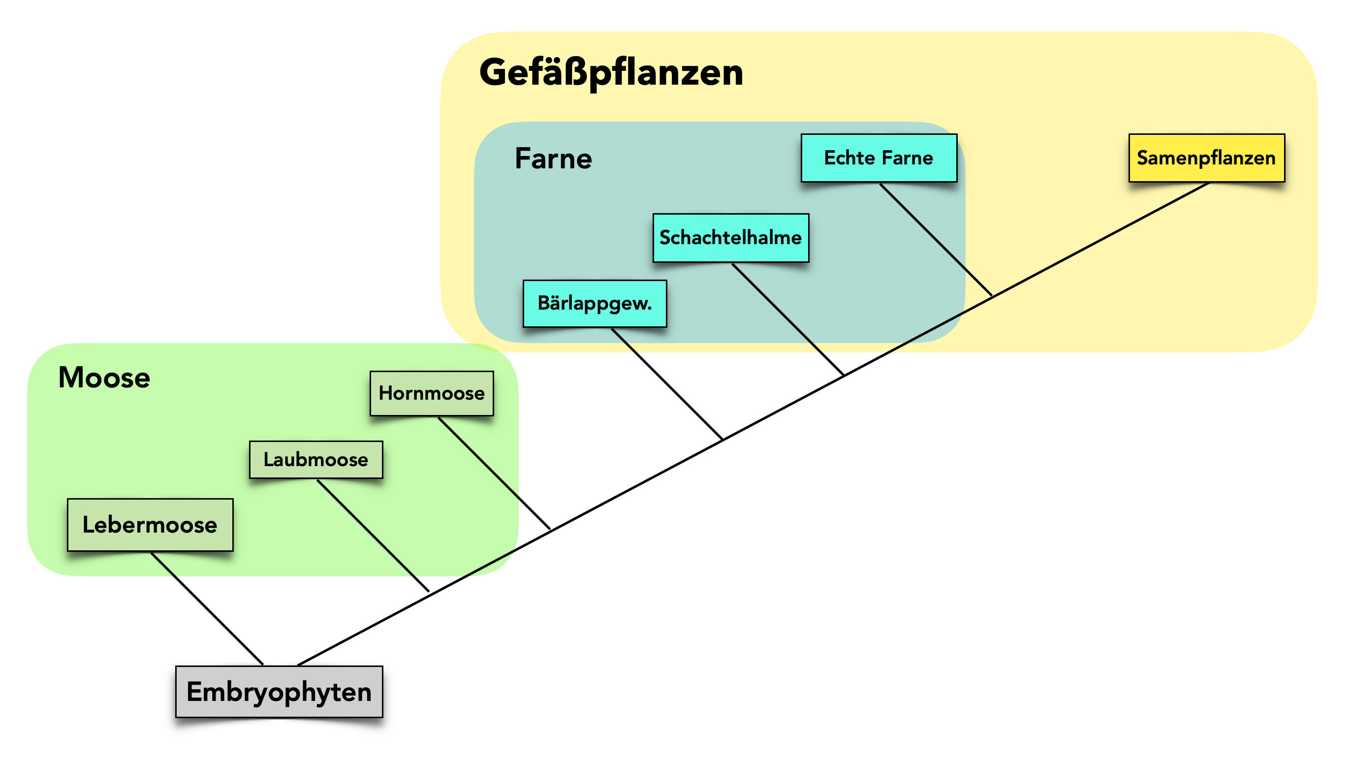 Yosh qizlar bilan porno ayollar Apatityning yalangoch qizlari