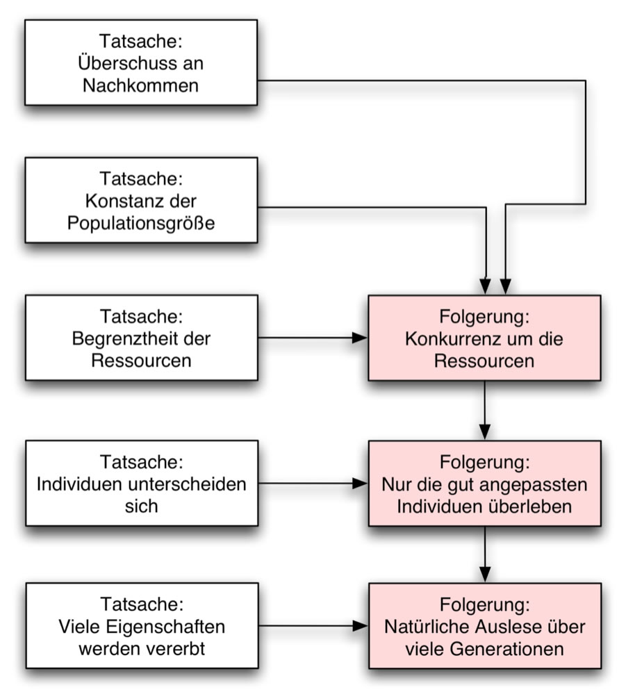 Beschreibung siehe folgenden Text