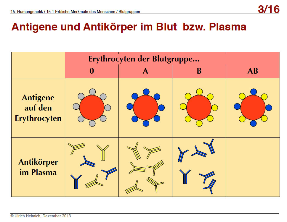 Das Ab0-Systen , Vorschau auf die Rapid- und Blitz ...