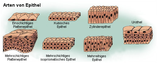 Beschreibung siehe folgenden Text