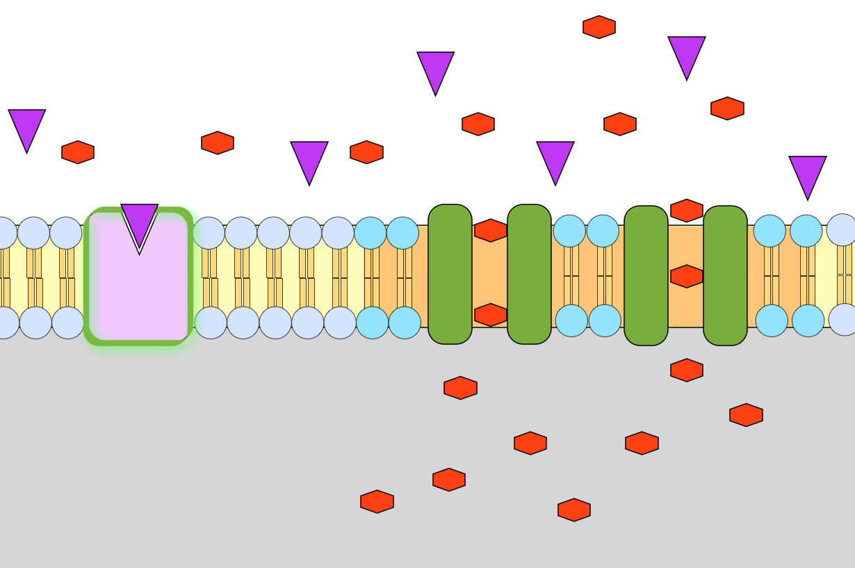 siehe folgenden Text