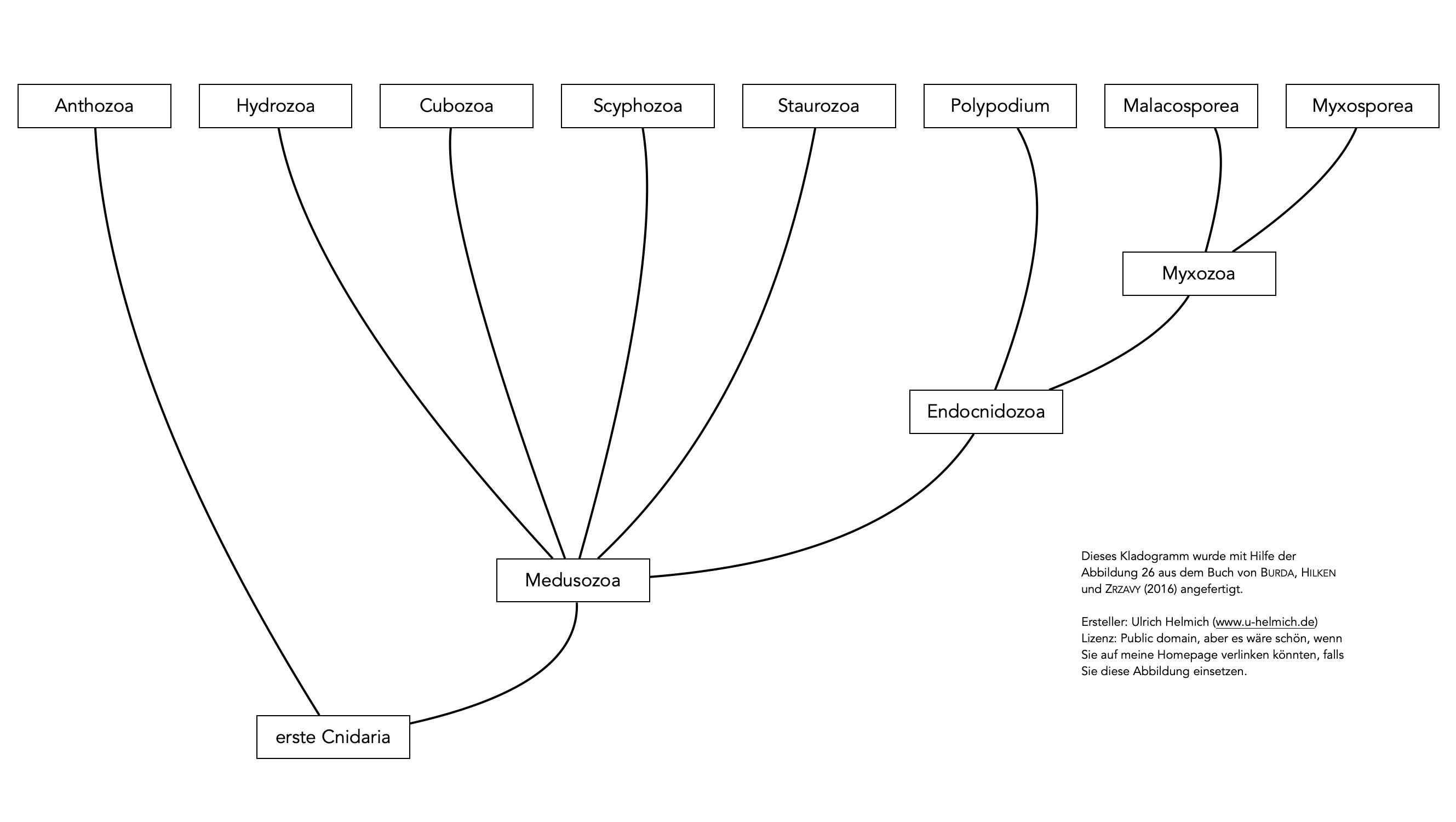 Beschreibung siehe folgenden Text