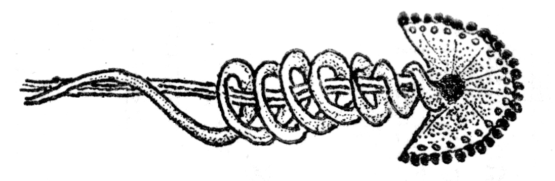 Beschreibung siehe folgenden Text