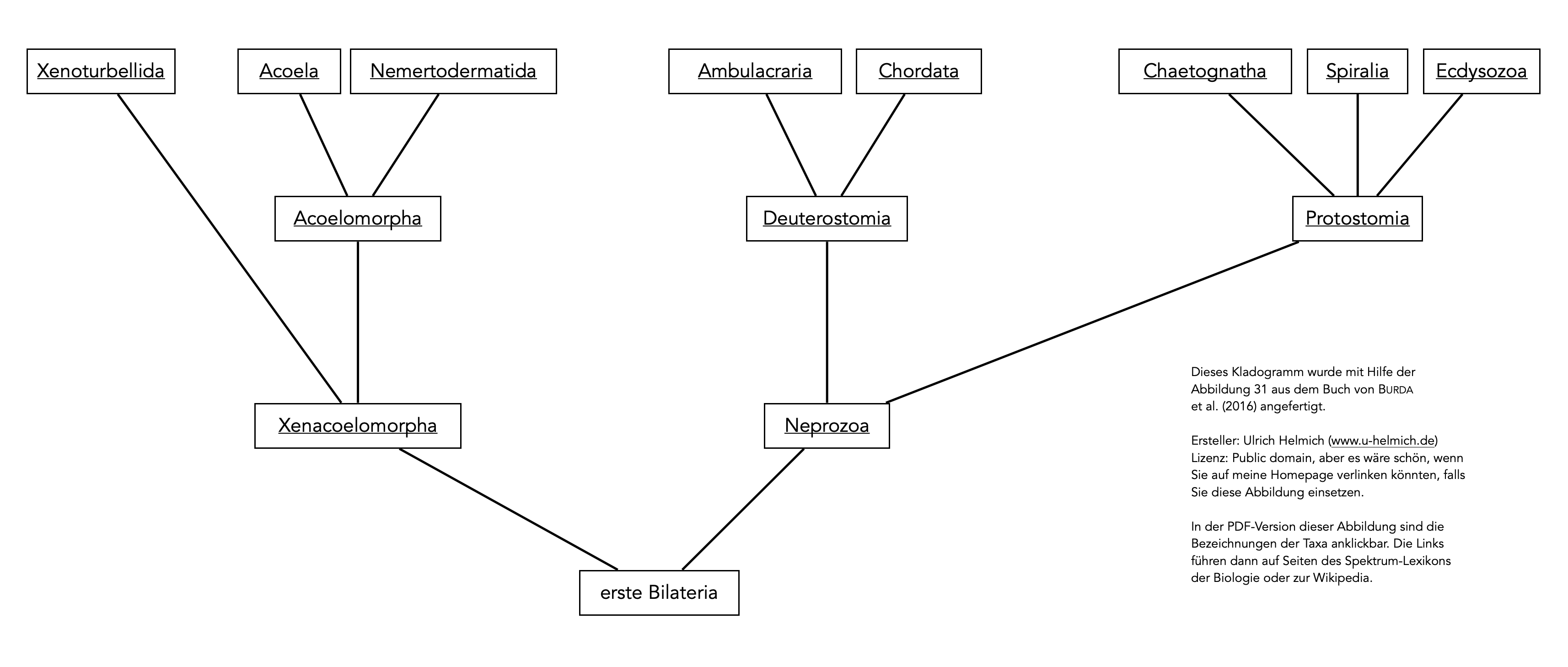 Beschreibung siehe folgenden Text