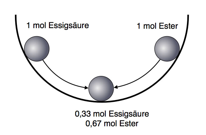 Einstellung des Gleichgewichts, durch das Schüsselbeispiel verdeutlicht