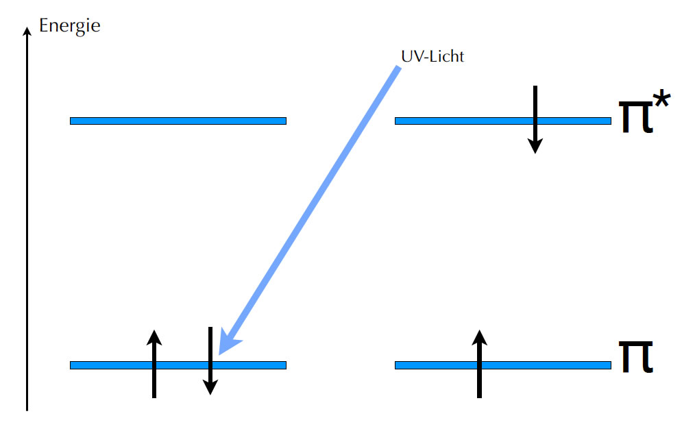 Absorption von Licht beim Ethen, Energiediagramm mit zwie MOs. Zunächst befinden sich zwei Elektronen im unteren MO, durch Absorption von Licht, angedeutet durch einen blauen Pfeil, wird eines der beiden Elektronen auf das Niveau des oberen MO angehoben.