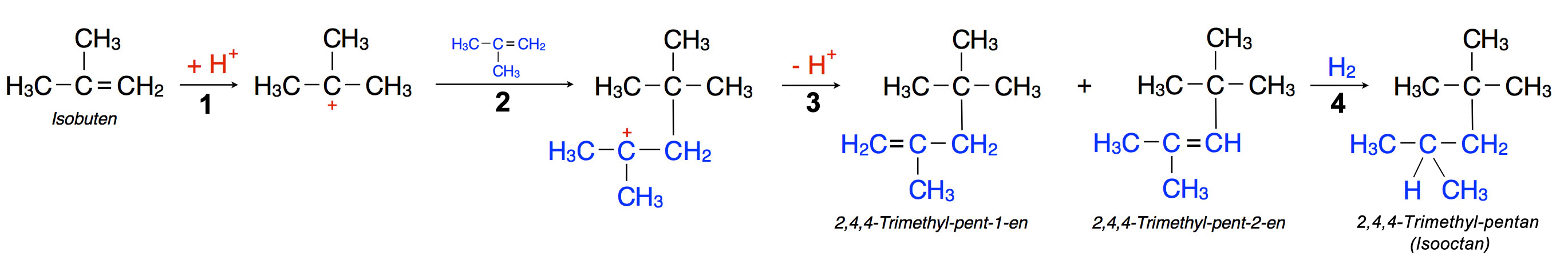 Die beiden ersten Schritte der Dimerisierung von Isobuten. Erläuterungen siehe Text.