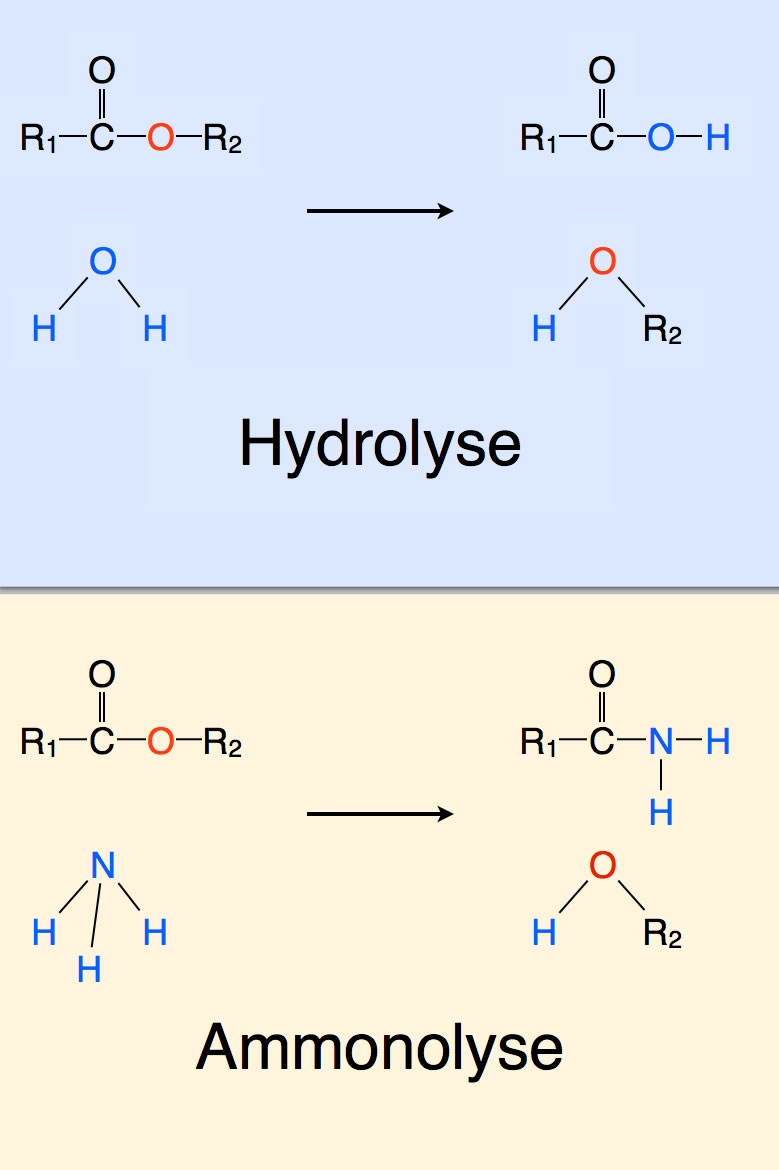 Hydrolyse und Ammonolyse im Vergleich