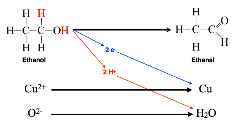 Ethanol (oben) gibt zwei Elektronen und zwei Protonen ab. Die Elektronen gelangen zu den Kupfer(II)-Ionen und reduzieren diese zu Kupfer, während die Protonen zum Sauerstoff-Anion des Kupferoxids gelangen und mit diesem zu einem Wasser-Molekül reagieren. Ethanol wird so zu Ethanal oxidiert, Kupferoxid zu Kupfer und Wasser.