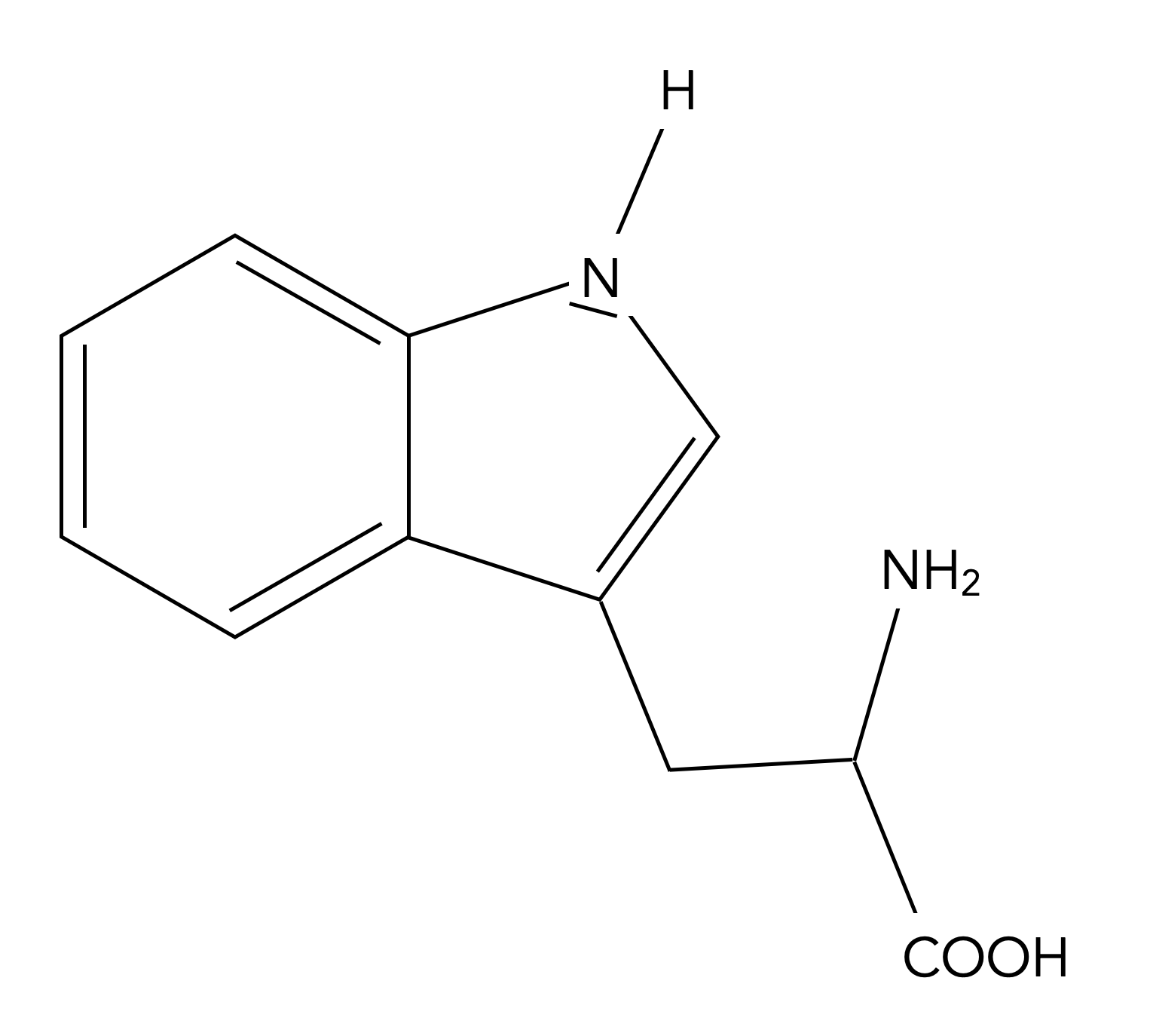 Strukturformel von Tryptophan
