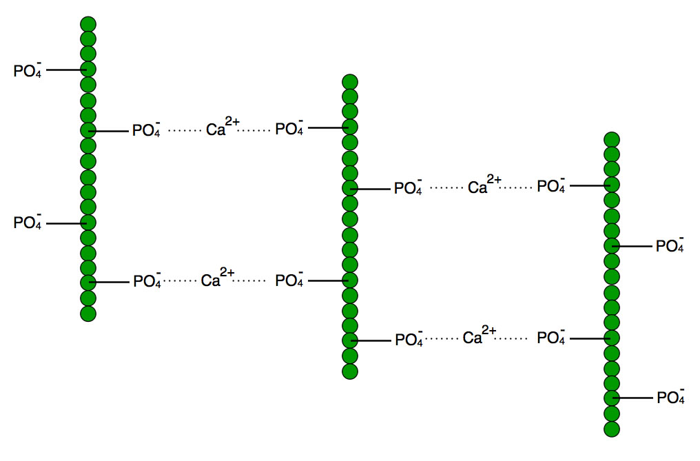 Eine ganz naive Vorstellung der submicellären Strukturen