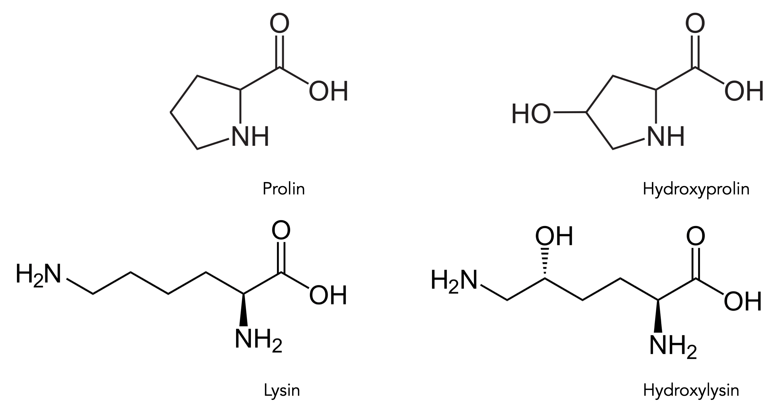 Beschreibung siehe folgenden Text