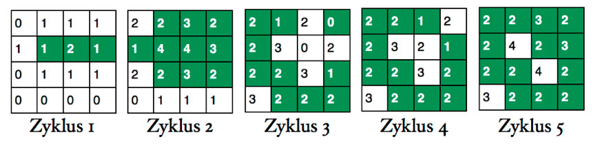 Ein Raum aus 4x4 Zellen in f&uuml;nf Zyklen